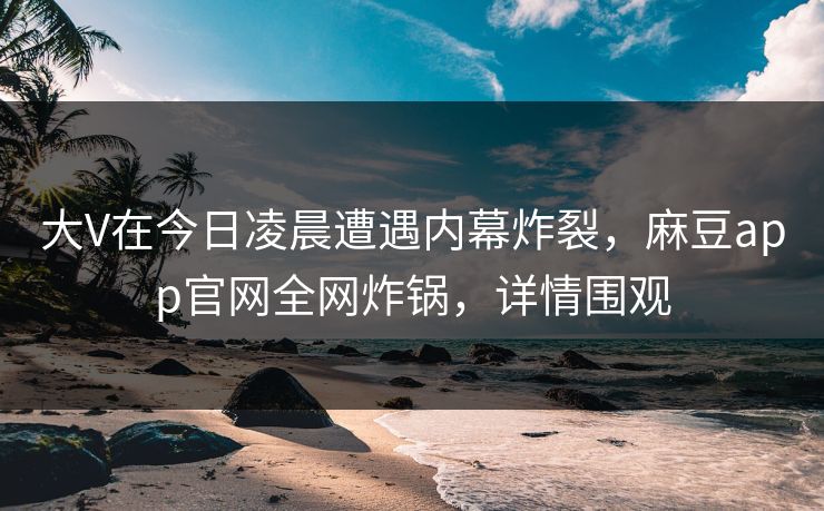 大V在今日凌晨遭遇内幕炸裂，麻豆app官网全网炸锅，详情围观