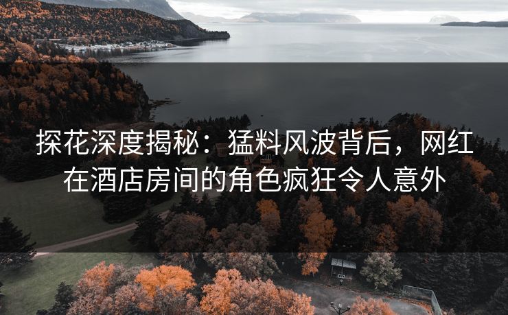 探花深度揭秘：猛料风波背后，网红在酒店房间的角色疯狂令人意外