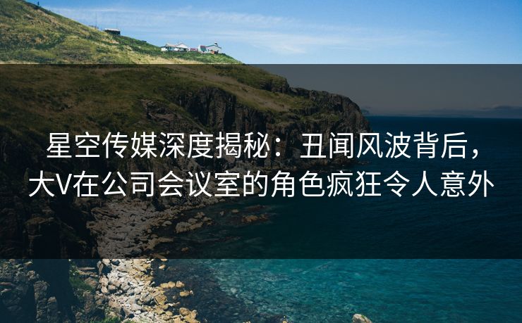 星空传媒深度揭秘：丑闻风波背后，大V在公司会议室的角色疯狂令人意外
