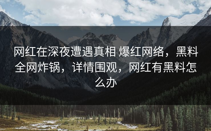 网红在深夜遭遇真相 爆红网络，黑料全网炸锅，详情围观，网红有黑料怎么办